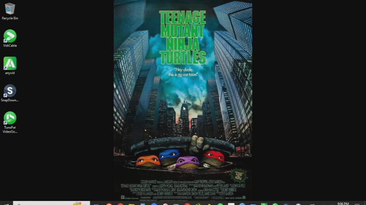 Teenage Mutant Ninja Turtles (1990) Review