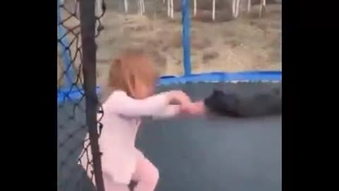 Rottweiler jumping on a trampoline