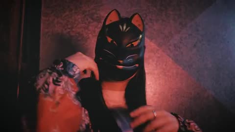 Funny Cat Videos. non stop laughing