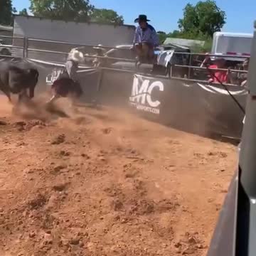 2 more days still final !! Bull fighting