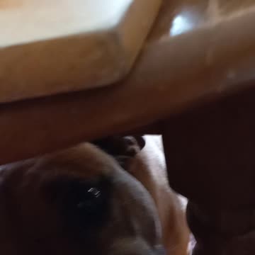 Hannah Joy - Carrot Cleanup