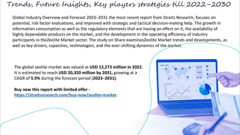 Zeolite Market market Report, Market Size, Share, Trends, Analysis By Forecast Period