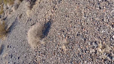Hiking - Shadow Mountain, Pahrump, NV 89060 - 20240926T161637