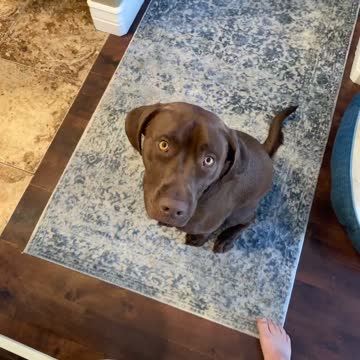 It’s a klause life