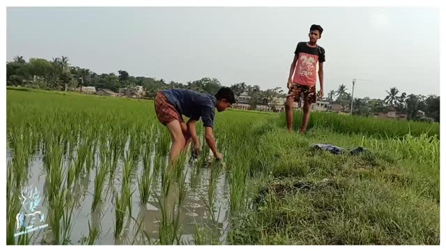 বাংলা ফানি । bangla funny video._fire__fire__rolling_on_the_floor_laughing_- palli_gram