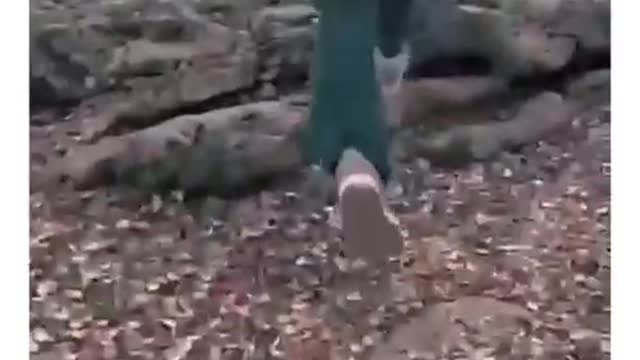 how to make a cool video