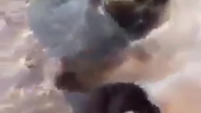 It looks like there's a puppy