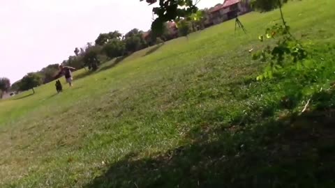 How to train your dog fully aggressive