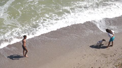 Dog nice and very cute