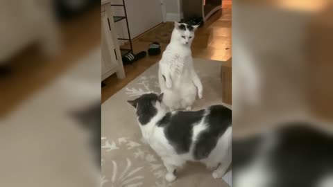 My Reactions When Crush In Frount Of Me😂