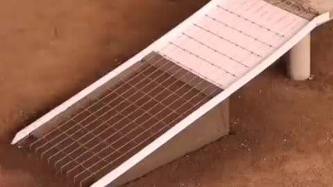Miniature Bridge Construction Process