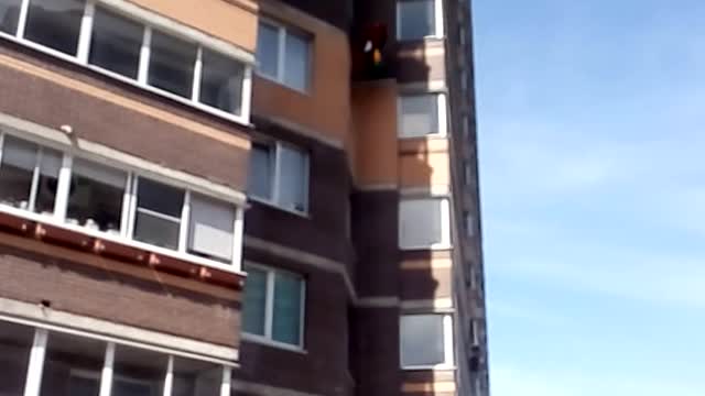 Industrial climbers wash windows