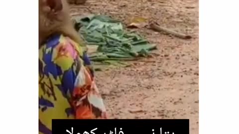 Funny video 2023