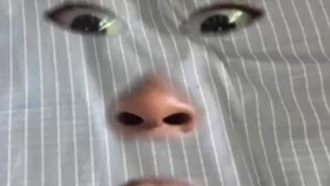 Funny TikTok Video`s May Best Compilation