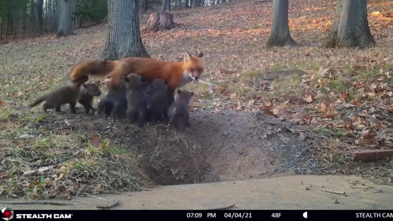 Awe come on how many is that? 😱