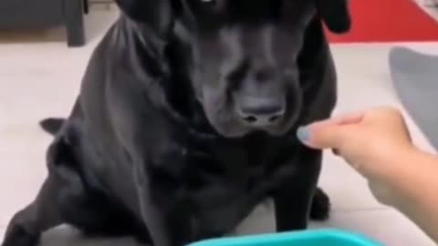 Stop ! You spoil my appetite