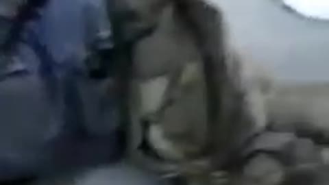 Ukraine War Crimes: How Ukrainian soldiers treat Russian POWs (2)