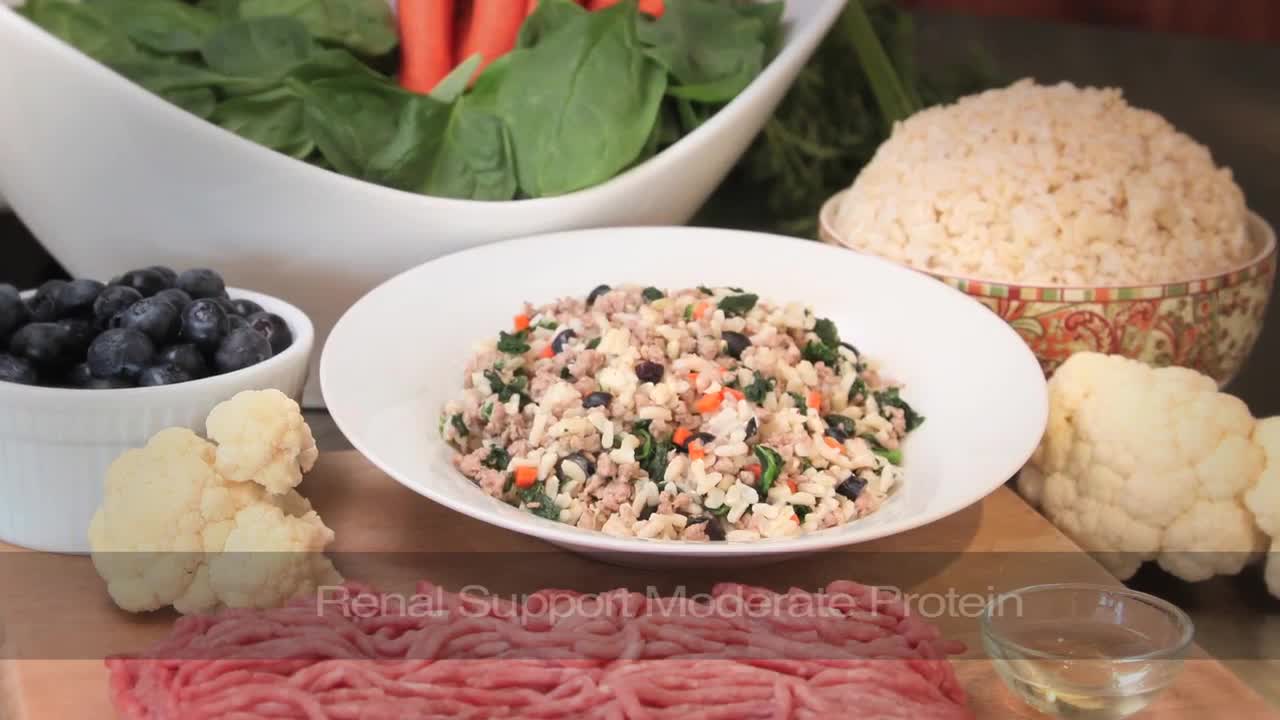 Support Diets For Dogs# Kidney & Liver Support # JustFoodForDogs