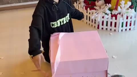 Cat video Playing Beautifull cat video Playing Beautifull cat