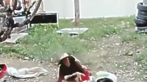 Funny moments of animal movement