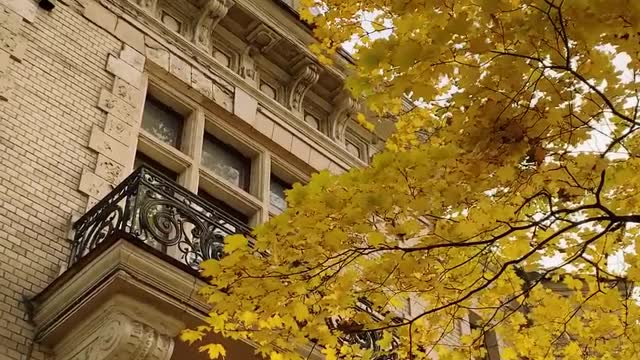 Beautiful Old Building and Tree in Autumn