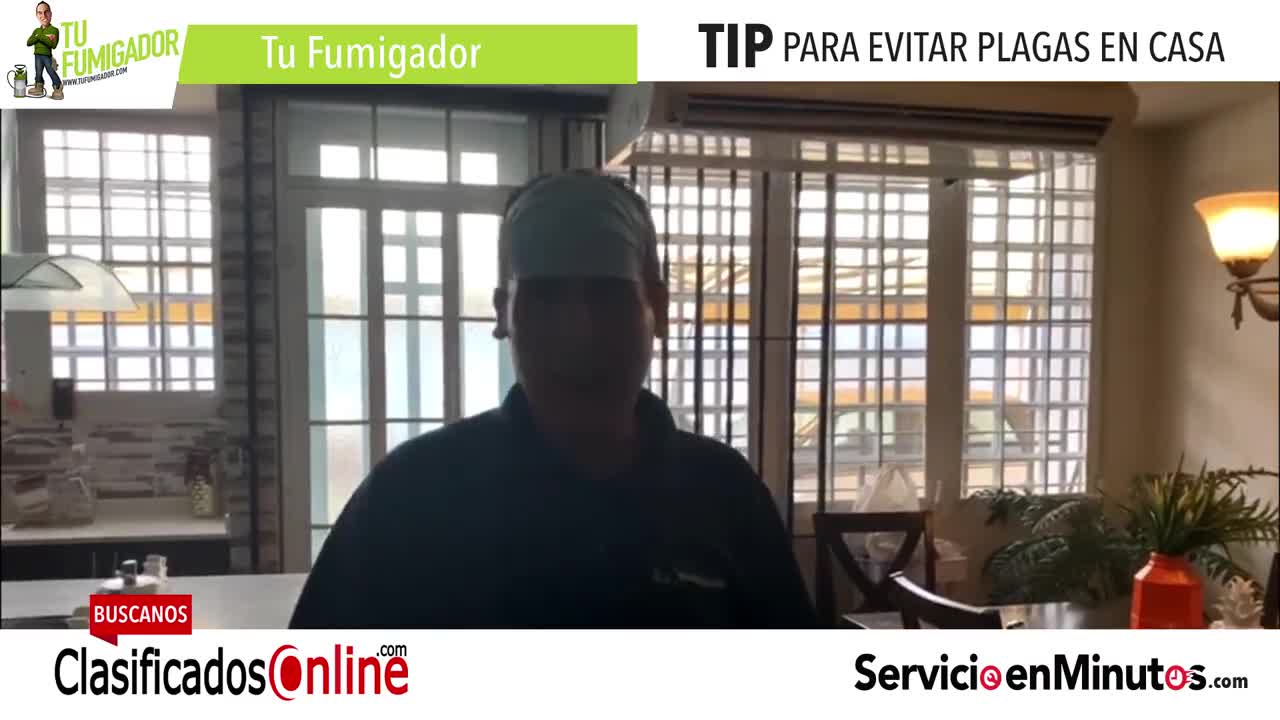 Tip para mantener nuestras áreas libre de plagas