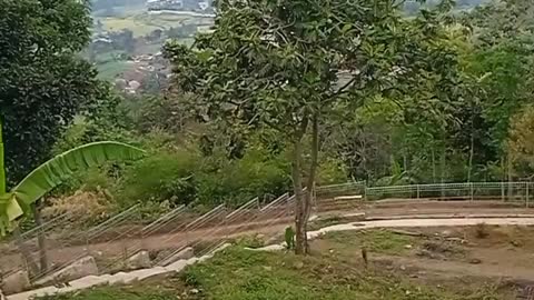 @ Pak Boentaran's home in the afternoon