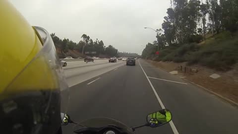 Duck Flying on Freeway