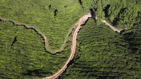 Stock Drone Footage