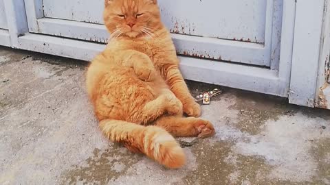 Time for a break