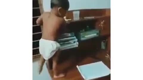 Spider baby