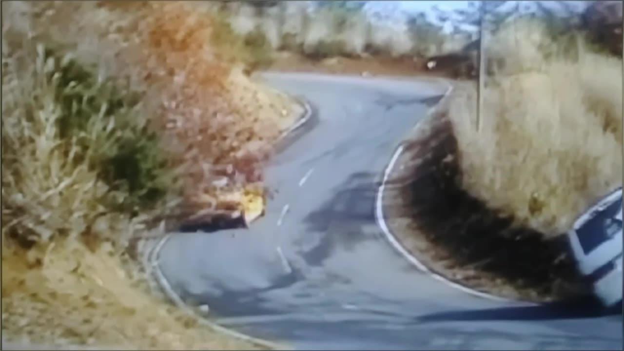 🚗 car chase by Jack the Irish wolfhound