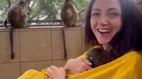 Playful monkey