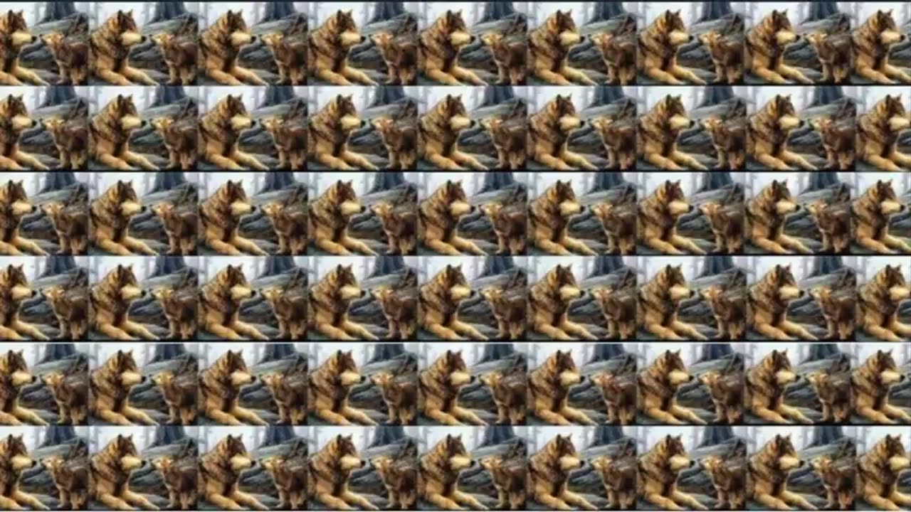 Emo's Gary Snowflake Tantrum (Highlight Clip)