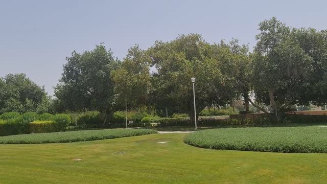 We walked in the Garden,listening,watching,observing,enjoying Birds chirping&singing sound