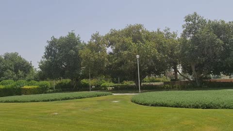 We walked in the Garden,listening,watching,observing,enjoying Birds chirping&singing sound