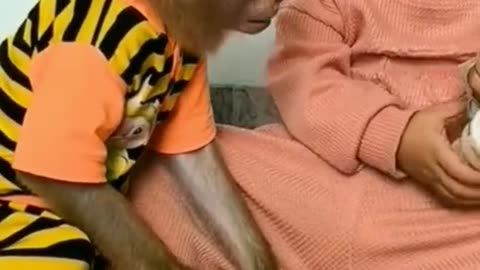 monkey and baby