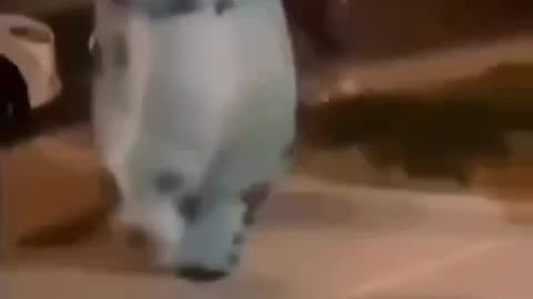 The Karate Weeeed.