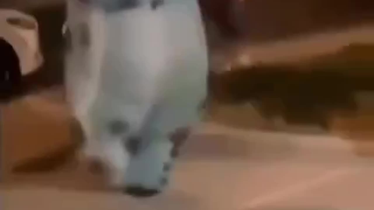 The Karate Weeeed.