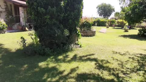 beautiful house and garden🇮🇹🇮🇹