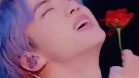 The World Wide Handsome Jin