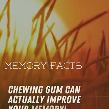 Memory Facts