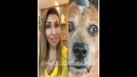 Video curto muito engraçado