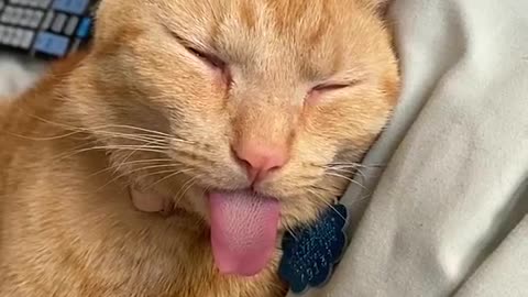 Sleepy mood