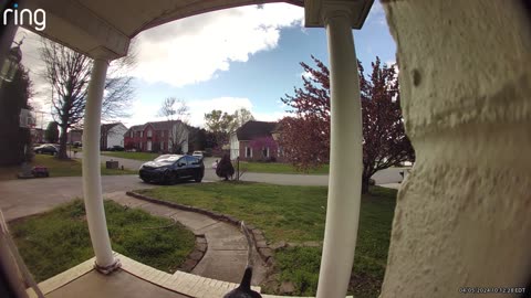 My Dog Has Figured Out How to Use the Doorbell