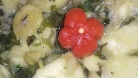 Yummy Trini Foodie