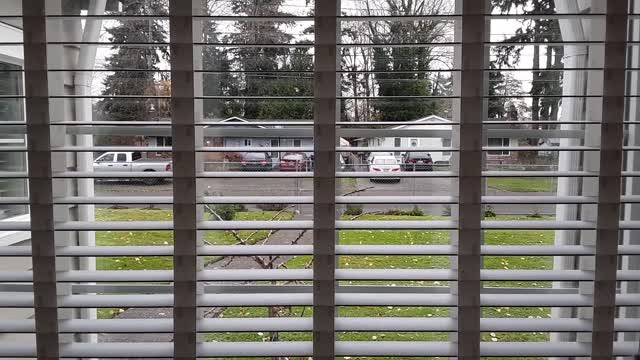 The Mount Rumble Report 2020