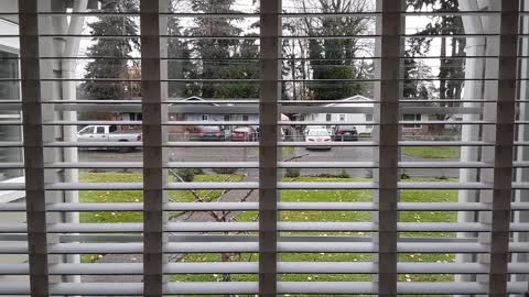 The Mount Rumble Report 2020