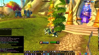 Turtle wow - Alliance new teleport and portal added for Alah'Thalas (High elf town)