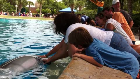 Taking Grandson to SeaWorld